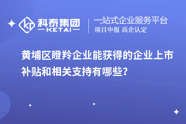 黃埔區(qū)瞪羚企業(yè)能獲得的企業(yè)上市補(bǔ)貼和相關(guān)支持有哪些？