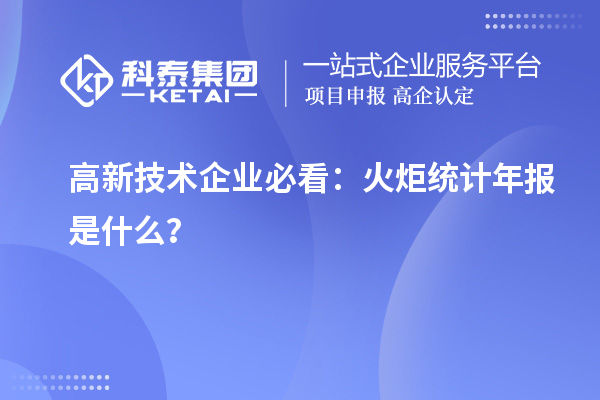 高新技術(shù)企業(yè)必看：火炬統(tǒng)計(jì)年報(bào)是什么？