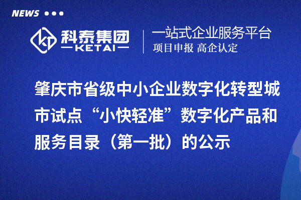肇慶市省級中小企業(yè)數(shù)字化轉型城市試點“小快輕準”數(shù)字化產(chǎn)品和服務目錄（第一批）的公示