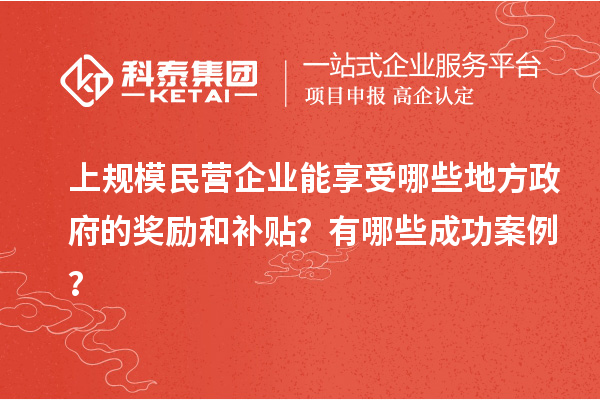 上規(guī)模民營企業(yè)能享受哪些地方政府的獎(jiǎng)勵(lì)和補(bǔ)貼？有哪些成功案例？
