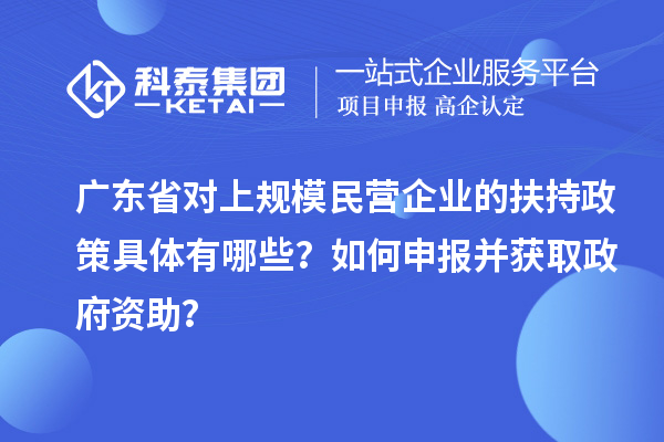 廣東省對(duì)上規(guī)模民營(yíng)企業(yè)的扶持政策具體有哪些？如何申報(bào)并獲取政府資助？