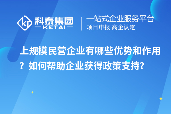 上規(guī)模民營(yíng)企業(yè)有哪些優(yōu)勢(shì)和作用？如何幫助企業(yè)獲得政策支持？