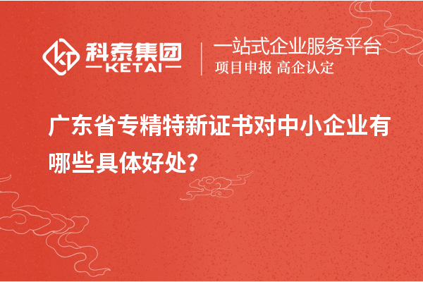 廣東省專(zhuān)精特新證書(shū)對(duì)中小企業(yè)有哪些具體好處？