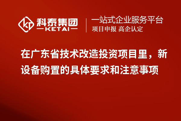 在廣東省技術(shù)改造投資項(xiàng)目里，新設(shè)備購(gòu)置的具體要求和注意事項(xiàng)
