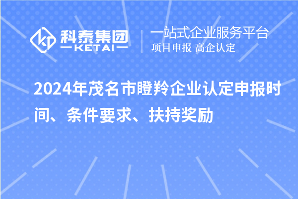 2024年茂名市瞪羚企業(yè)認(rèn)定申報(bào)時(shí)間、條件要求、扶持獎(jiǎng)勵(lì)