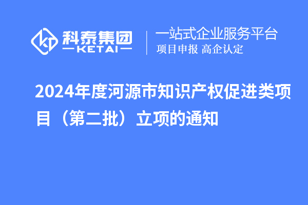 2024年度河源市知識產(chǎn)權(quán)促進(jìn)類項(xiàng)目（第二批）立項(xiàng)的通知