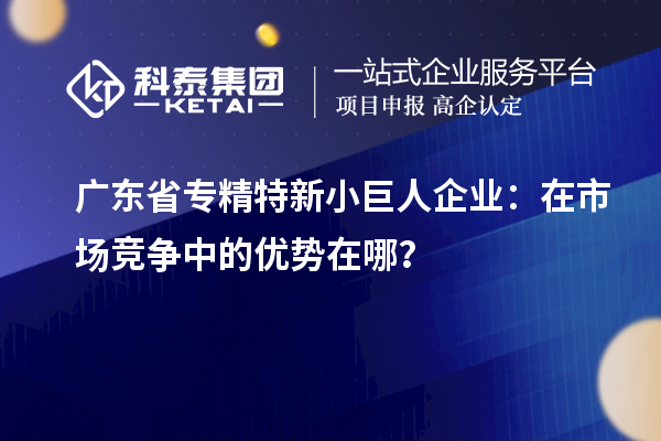 廣東省專精特新小巨人企業(yè)：在市場(chǎng)競(jìng)爭(zhēng)中的優(yōu)勢(shì)在哪？