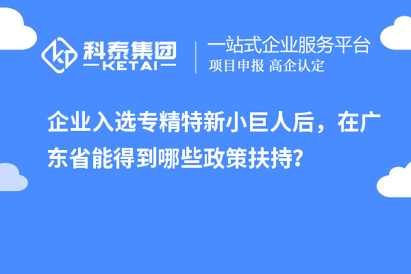 企業(yè)入選專精特新小巨人后，在廣東省能得到哪些政策扶持？