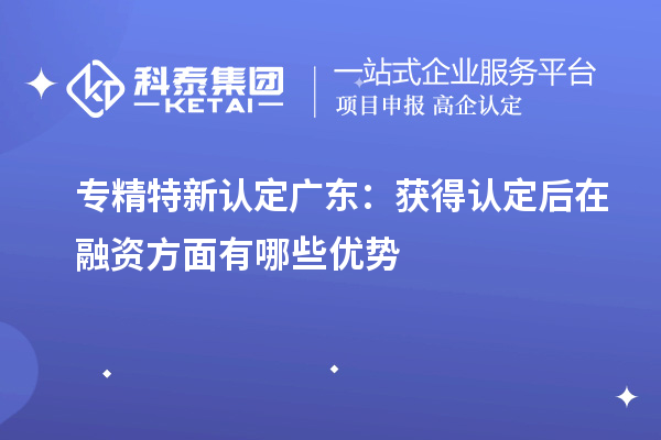 專精特新認(rèn)定廣東：獲得認(rèn)定后在融資方面有哪些優(yōu)勢
