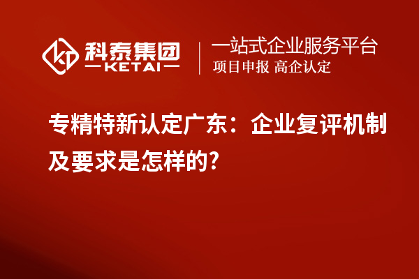 專精特新認(rèn)定廣東：企業(yè)復(fù)評機制及要求是怎樣的?