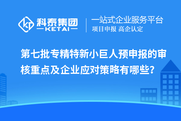 第七批專精特新小巨人預(yù)申報的審核重點及企業(yè)應(yīng)對策略有哪些？