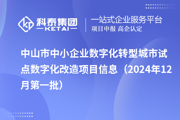 中山市中小企業(yè)數(shù)字化轉(zhuǎn)型城市試點數(shù)字化改造項目信息（2024年12月第一批）