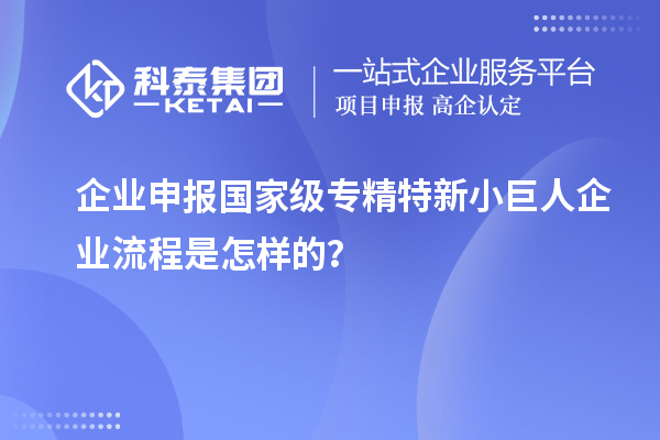 企業(yè)申報國家級專精特新小巨人企業(yè)流程是怎樣的？