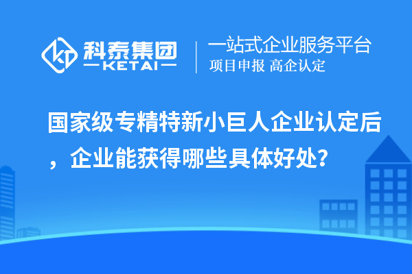 國家級專精特新小巨人企業(yè)認定后，企業(yè)能獲得哪些具體好處？