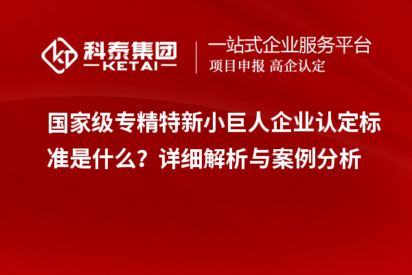 國家級專精特新小巨人企業(yè)認定標準是什么？詳細解析與案例分析