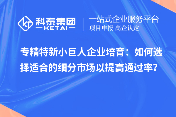 專精特新小巨人企業(yè)培育：如何選擇適合的細(xì)分市場以提高通過率？