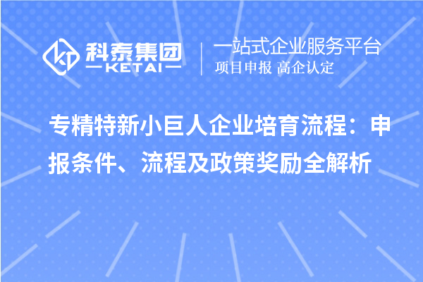 專精特新小巨人企業(yè)培育流程：申報(bào)條件、流程及政策獎(jiǎng)勵(lì)全解析