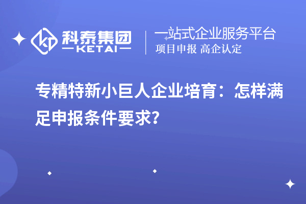專精特新小巨人企業(yè)培育：怎樣滿足申報(bào)條件要求？