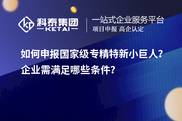 如何申報(bào)國家級(jí)專精特新小巨人？企業(yè)需滿足哪些條件？