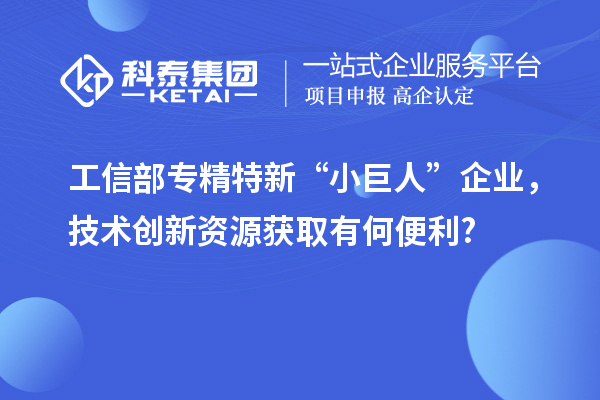 工信部專精特新 “小巨人” 企業(yè)，技術(shù)創(chuàng)新資源獲取有何便利?