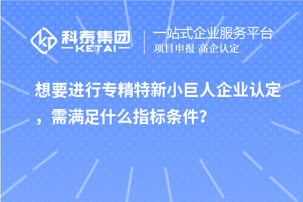 想要進行專精特新小巨人企業(yè)認定，需滿足什么指標條件？