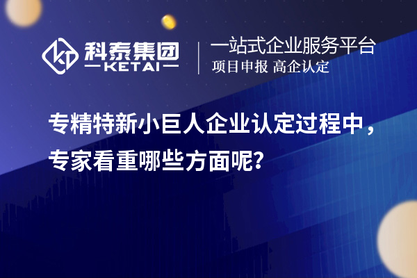 專精特新小巨人企業(yè)認定過程中，專家看重哪些方面呢？