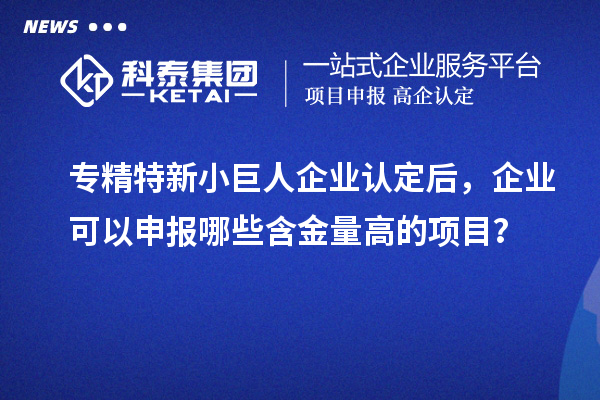 專精特新小巨人企業(yè)認(rèn)定后，企業(yè)可以申報(bào)哪些含金量高的項(xiàng)目？