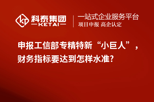 申報工信部專精特新 “小巨人”，財務(wù)指標(biāo)要達(dá)到怎樣水準(zhǔn)?