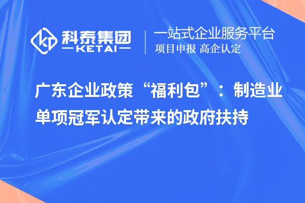 廣東企業(yè)政策“福利包”：制造業(yè)單項冠軍認定帶來的政府扶持