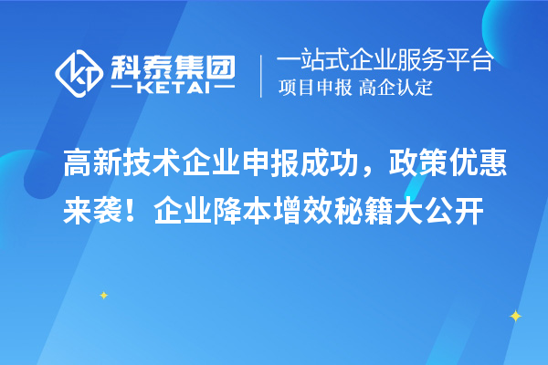 高新技術(shù)企業(yè)申報成功，政策優(yōu)惠來襲！企業(yè)降本增效秘籍大公開