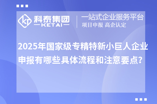 2025年國(guó)家級(jí)專精特新小巨人企業(yè)申報(bào)有哪些具體流程和注意要點(diǎn)？