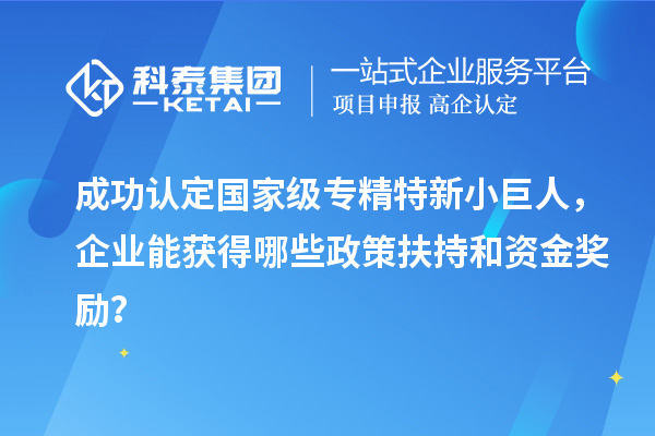 成功認定國家級專精特新小巨人，企業(yè)能獲得哪些政策扶持和資金獎勵？