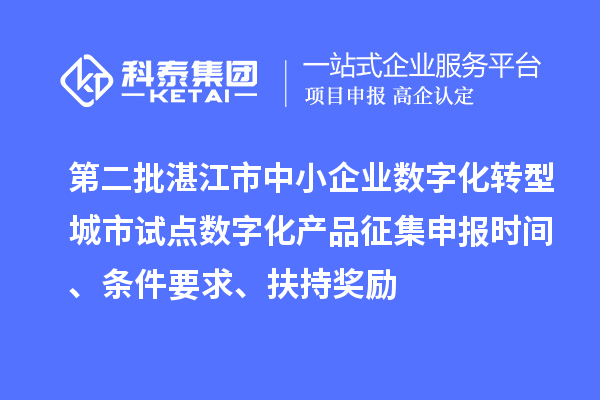 第二批湛江市中小企業(yè)數(shù)字化轉(zhuǎn)型城市試點(diǎn)數(shù)字化產(chǎn)品征集申報時間、條件要求、扶持獎勵