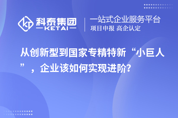 從創(chuàng)新型到國家專精特新“小巨人”，企業(yè)該如何實現(xiàn)進階？