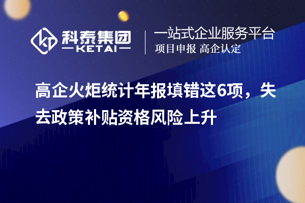 高企火炬統(tǒng)計年報填錯這6項，失去政策補貼資格風險上升