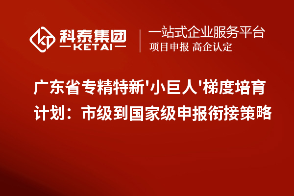 廣東省專精特新'小巨人'梯度培育計(jì)劃：市級(jí)到國(guó)家級(jí)申報(bào)銜接策略