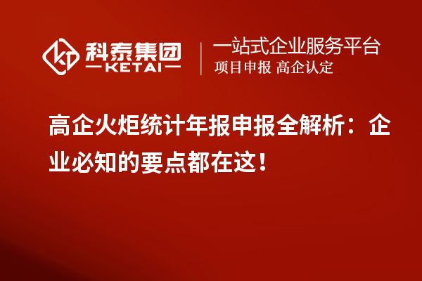 高企火炬統(tǒng)計年報申報全解析：企業(yè)必知的要點都在這！