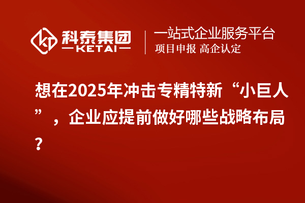 想在2025年沖擊專精特新 “小巨人”，企業(yè)應(yīng)提前做好哪些戰(zhàn)略布局？