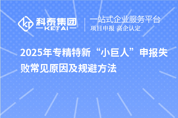 2025年專精特新“小巨人”申報(bào)失敗常見原因及規(guī)避方法