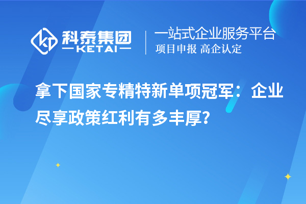 拿下國家專精特新單項(xiàng)冠軍：企業(yè)盡享政策紅利有多豐厚？