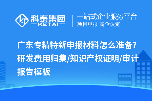 廣東專精特新申報(bào)材料怎么準(zhǔn)備？研發(fā)費(fèi)用歸集/知識(shí)產(chǎn)權(quán)證明/審計(jì)報(bào)告模板