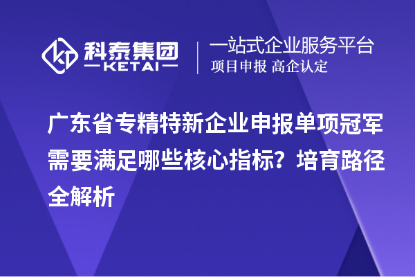 廣東省專(zhuān)精特新企業(yè)申報(bào)單項(xiàng)冠軍需要滿足哪些核心指標(biāo)？培育路徑全解析
