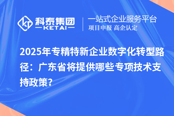 2025年專精特新企業(yè)數(shù)字化轉(zhuǎn)型路徑：廣東省將提供哪些專項(xiàng)技術(shù)支持政策？