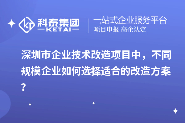 深圳市企業(yè)技術(shù)改造項目中，不同規(guī)模企業(yè)如何選擇適合的改造方案？