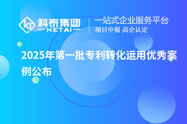 2025年第一批專(zhuān)利轉(zhuǎn)化運(yùn)用優(yōu)秀案例公布