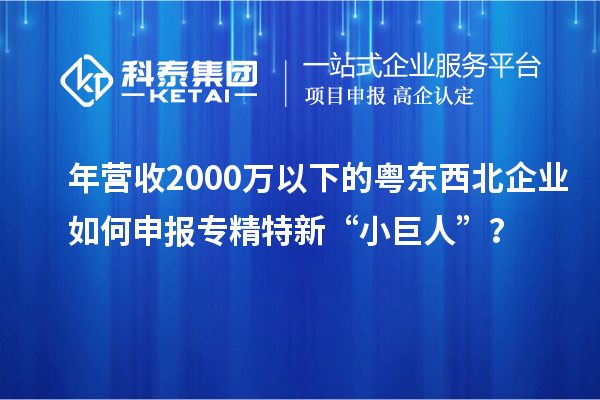 年?duì)I收2000萬以下的粵東西北企業(yè)如何申報專精特新“小巨人”？