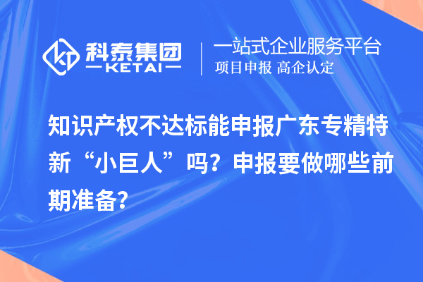 知識產(chǎn)權(quán)不達(dá)標(biāo)能申報廣東專精特新“小巨人”嗎？申報要做哪些前期準(zhǔn)備？
