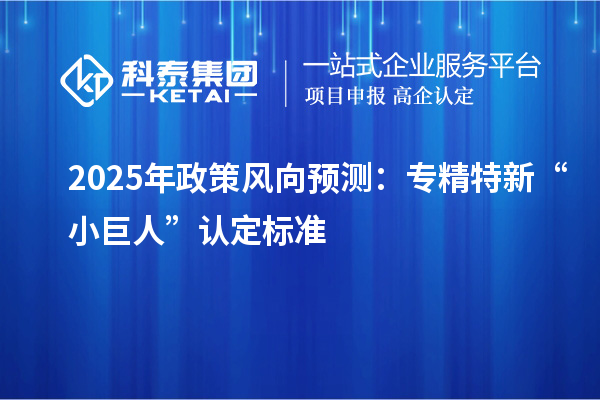 2025年政策風(fēng)向預(yù)測：專精特新“小巨人”認(rèn)定標(biāo)準(zhǔn)