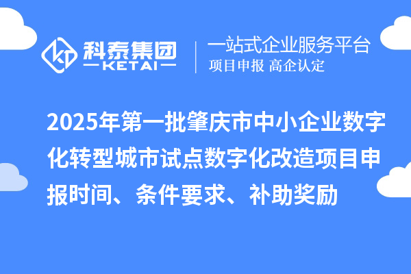 2025年第一批肇慶市中小企業(yè)數(shù)字化轉(zhuǎn)型城市試點(diǎn)數(shù)字化改造項(xiàng)目申報(bào)時(shí)間、條件要求、補(bǔ)助獎(jiǎng)勵(lì)
