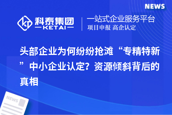 頭部企業(yè)為何紛紛搶灘“專精特新”中小企業(yè)認(rèn)定？資源傾斜背后的真相